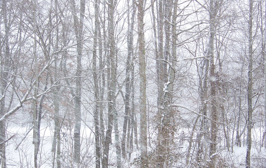 Mannsville Ky Winter Becky Flickr