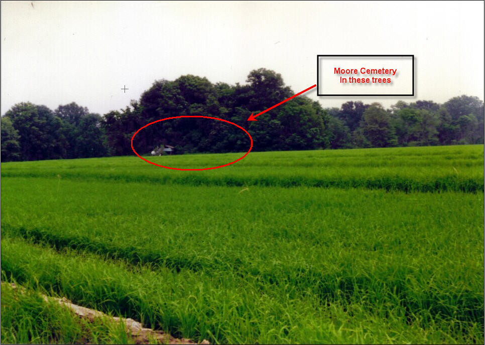 Moore Cemetery Lawrence County, AR John 316 Flickr