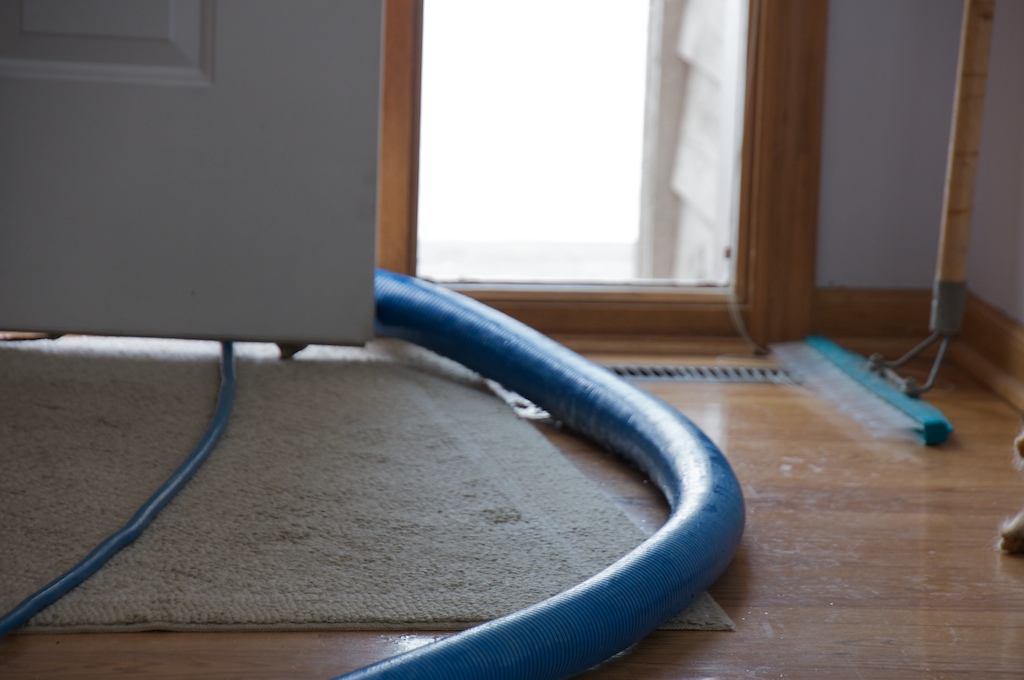 19 of 365 Today we got the carpets professionally cleaned.… Flickr