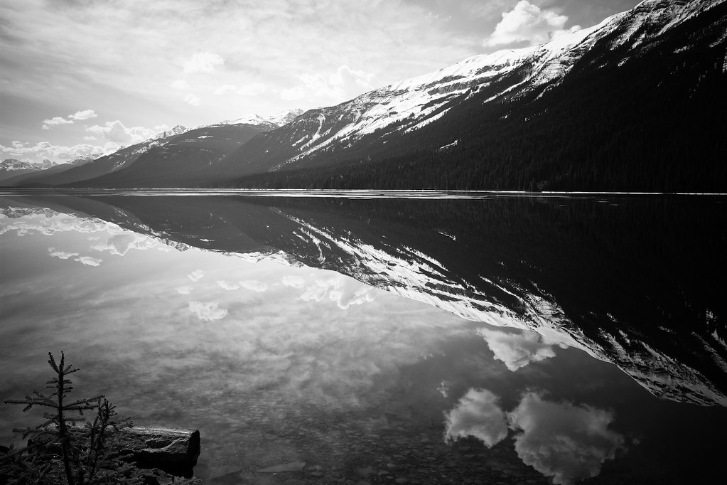Moose Lake Reflections The water at Moose Lake was amazing… Flickr