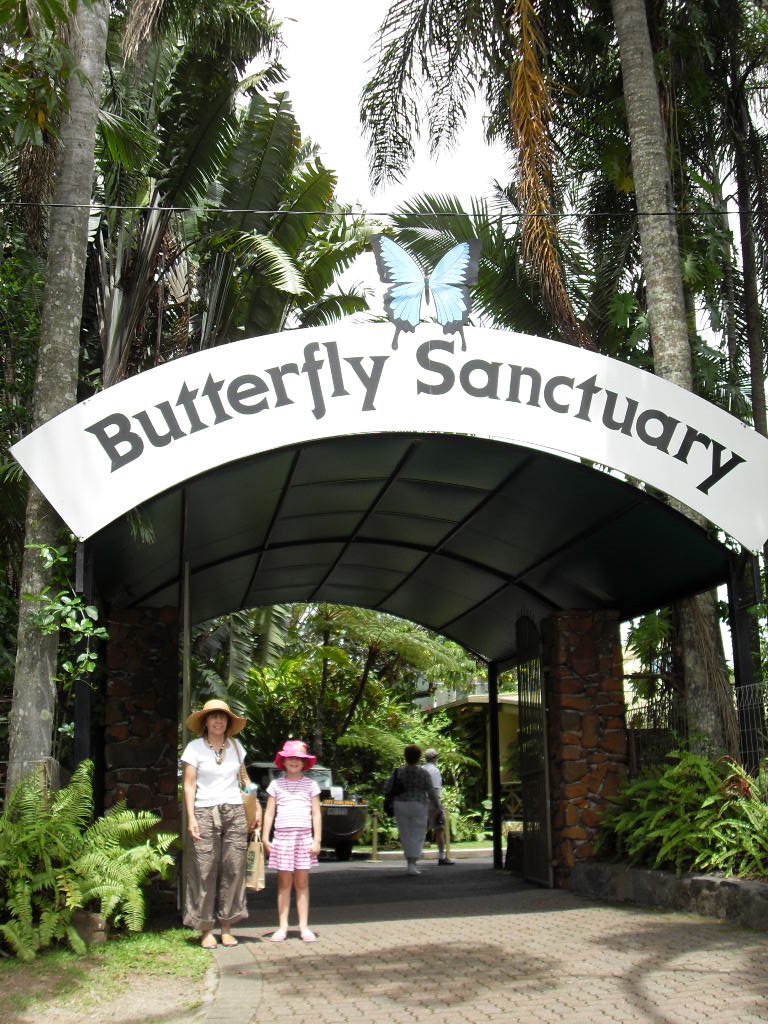 Kuranda Butterfly Sanctuary This is a fascinating place. T… Flickr