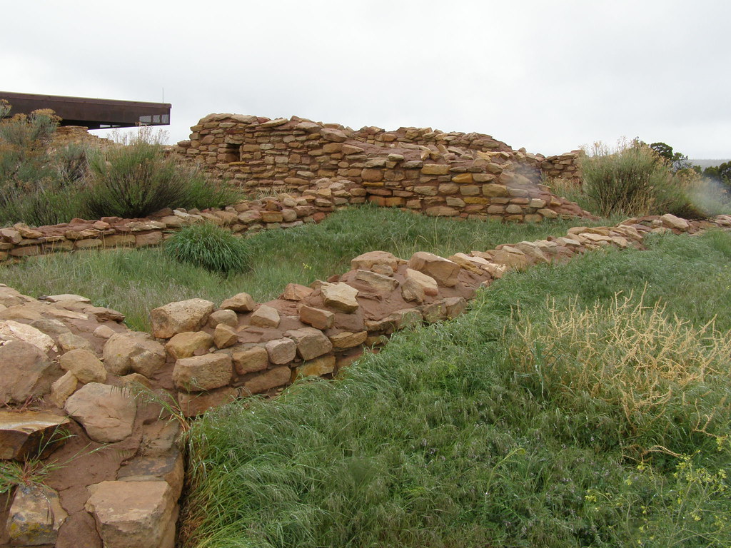Elevation of Rd P, Dove Creek, CO, USA Topographic Map Altitude Map