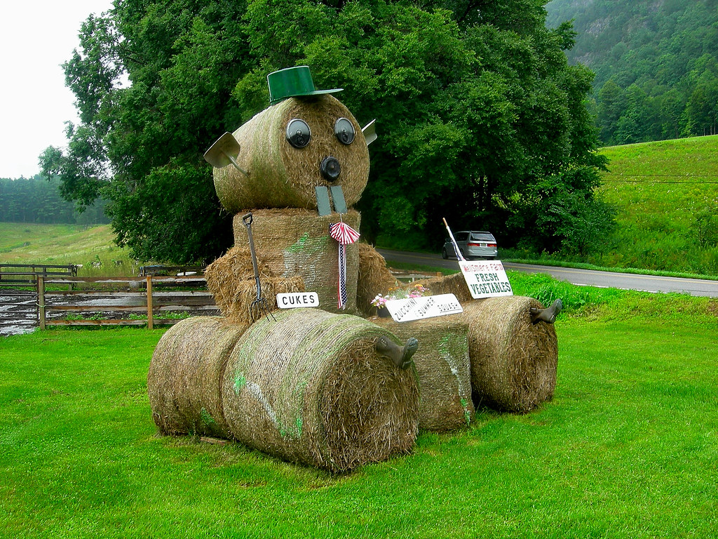 Wellsmere Farm Wells, VT Bluejacket Flickr