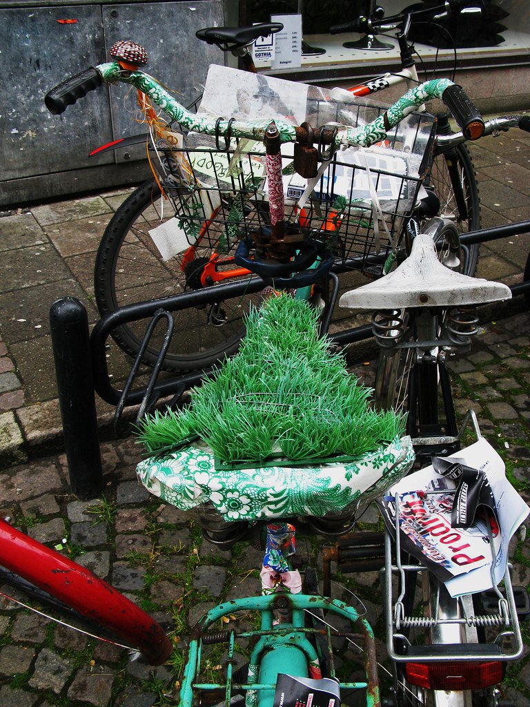 Swedish Bike Beauty What a splendid ride. Mikael ColvilleAndersen