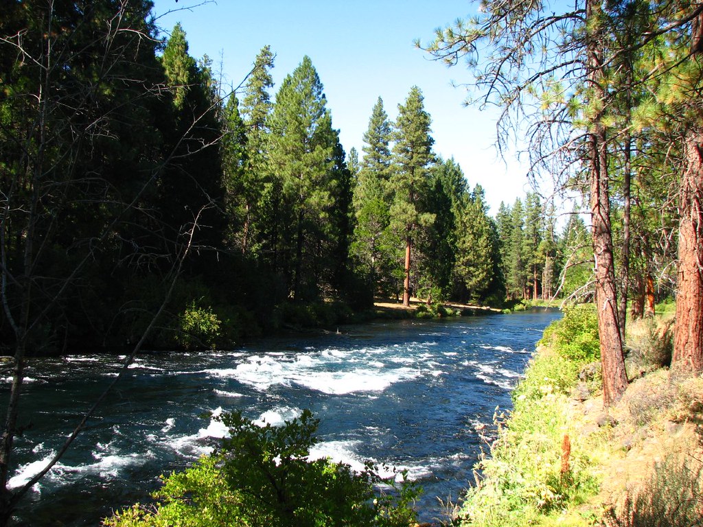 Metolius River David Berry Flickr