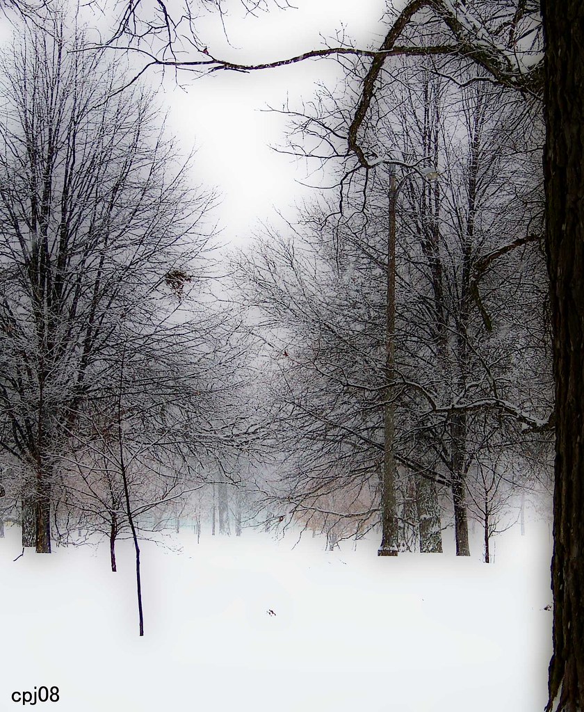 Snowfall Lincoln Park, Kenosha Wisconsin during snowfall. … Flickr