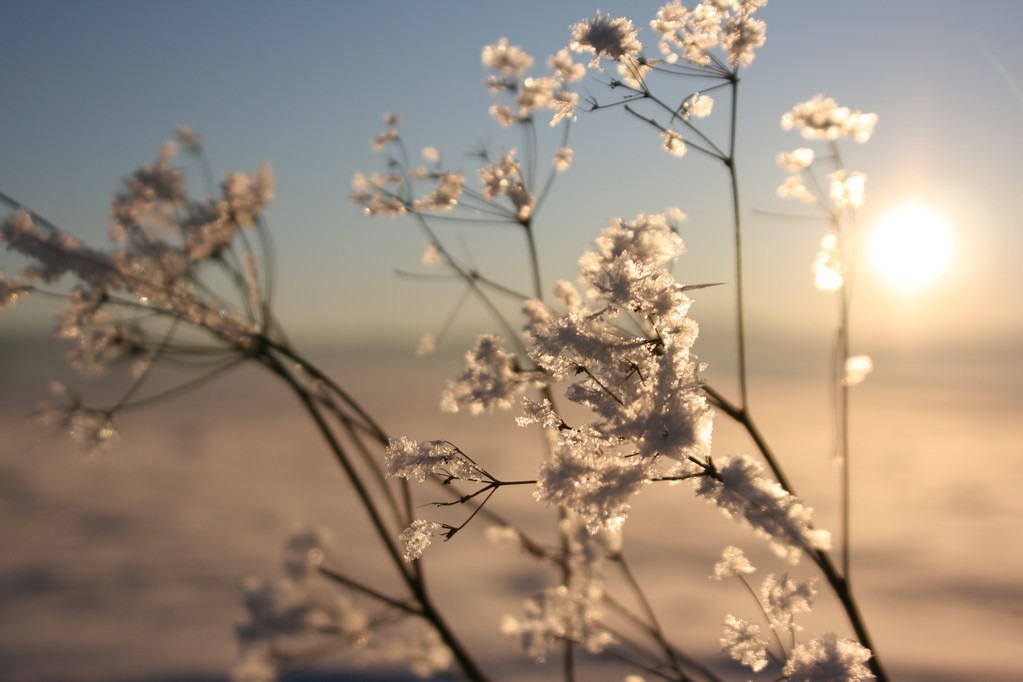 Untitled Simply Violet Flickr