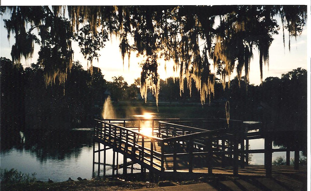 Lake Lillian Park, Belleview, FL Live oaks dripping with … Flickr