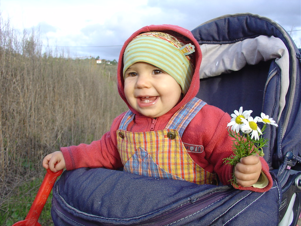 How many flowers do you see? Kolik kvetinek vidis? Flickr