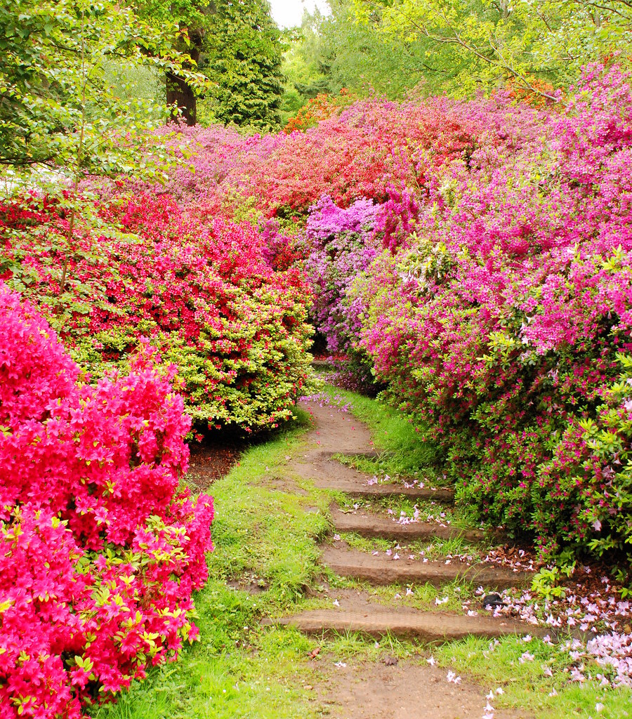 Virginia Waters TD'67 Flickr