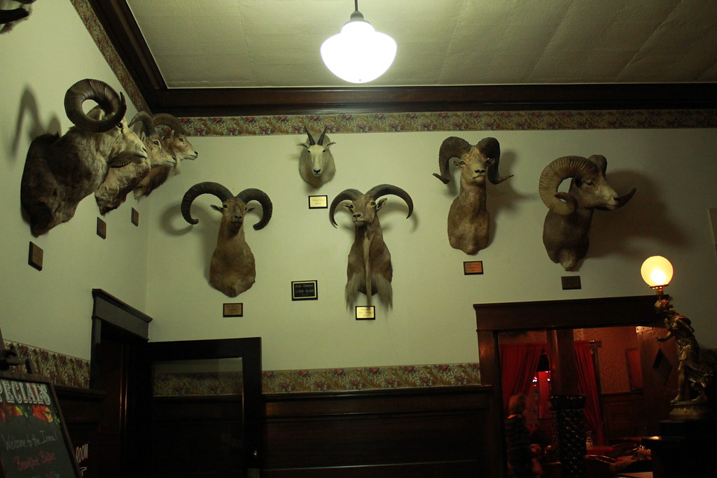 the irma hotel Lily Landes Flickr