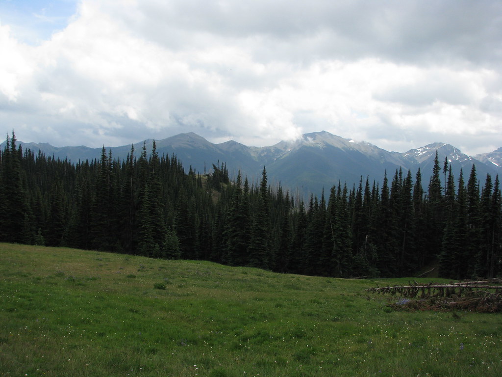 Moist meadow, Deer Park, Olympic National Park, WA Flickr