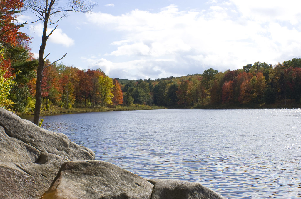 Rocks and fall foliage at Parker Lake at Parker Dam State Park