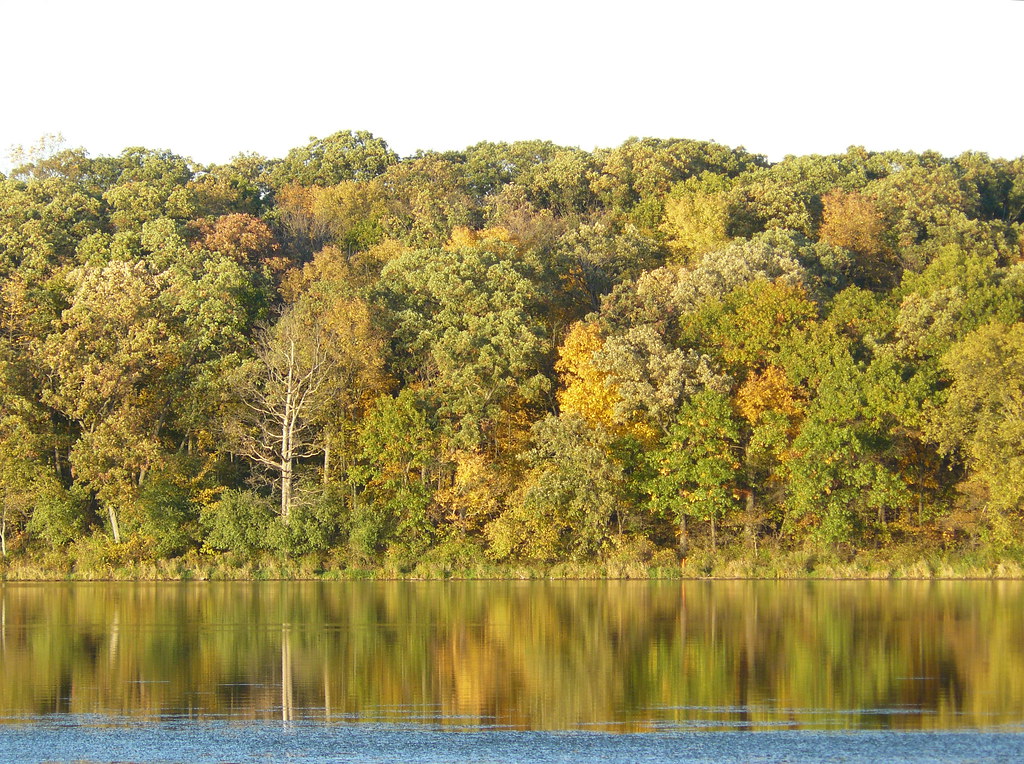 Maple Lake, Cook County, Illinois Speckledstone Flickr
