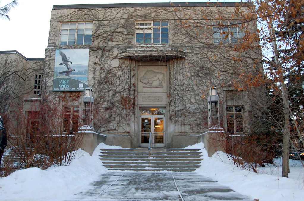 Take amazing journeys from the far reaches of the cosmos to deep inside the human brain in the whitney and elizabeth macmillan planetarium. The Bell Museum of Natural History At the Bell Museum of N… Flickr
