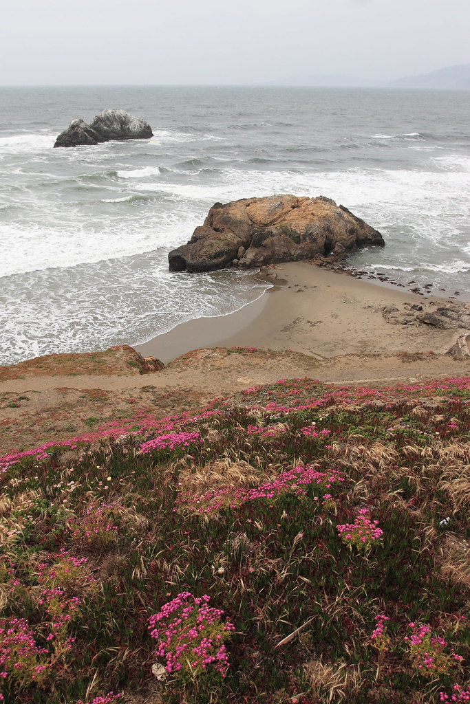San Francisco, Pacific Ocean Taken at west seaside of San … Flickr