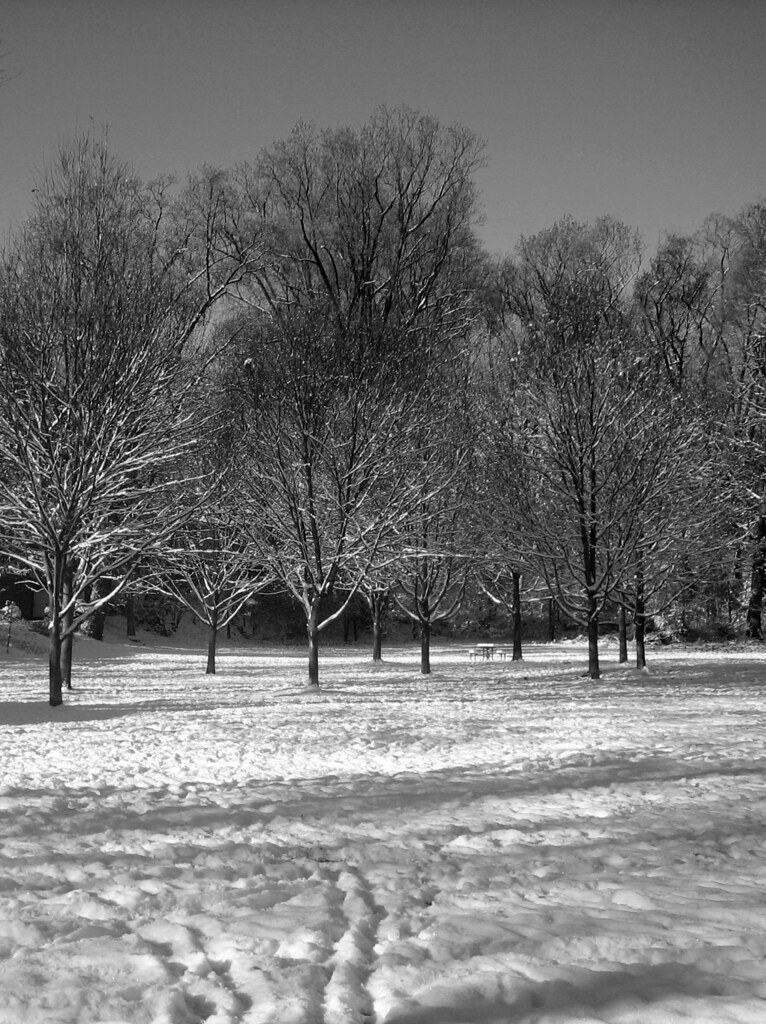 Whitehaven Parkway at Samuel Snipes blog