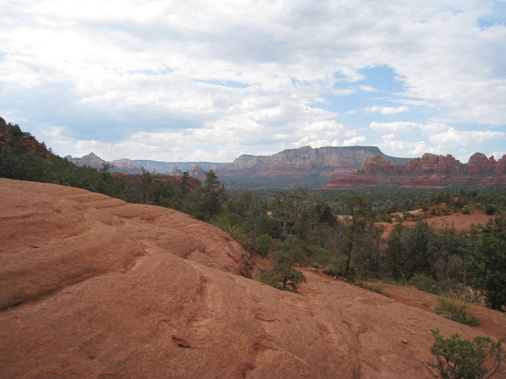 Pink Jeep Tour mroach Flickr
