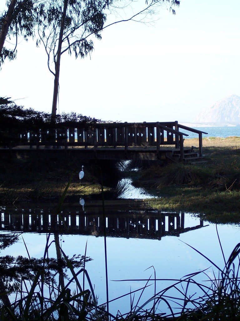 Home Sweet springs nature preserve Los Osos, CA Lord, I mi… Flickr