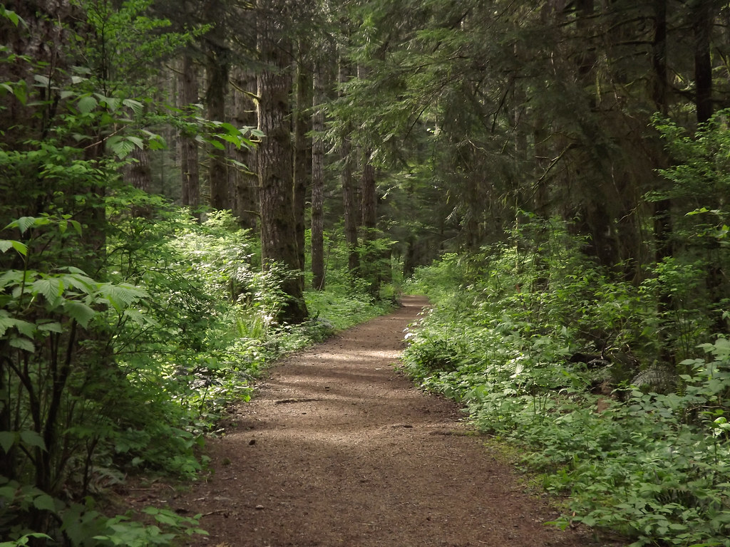 An evening stroll through the Beaver Lodge Park. Twilight … Flickr