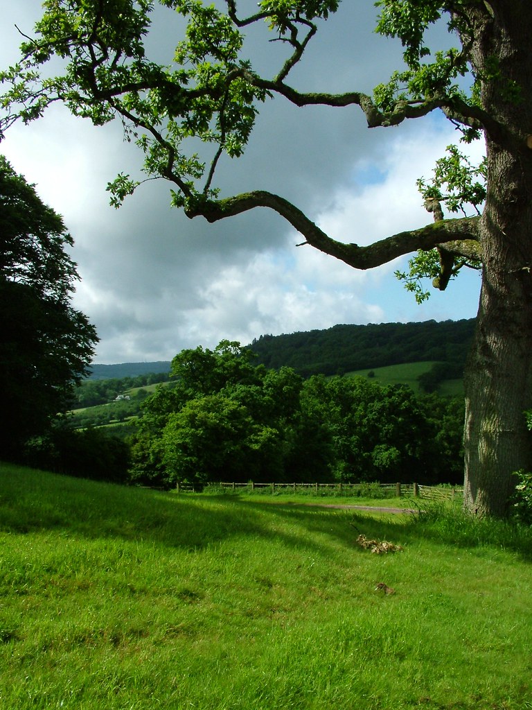 Combe Hill June 2008 022 Combe Hill austen.jean Flickr