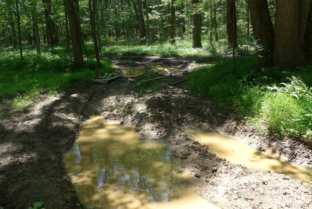 Wet Trail P1170810 Great Piece Meadows Wildlife Preser… Flickr
