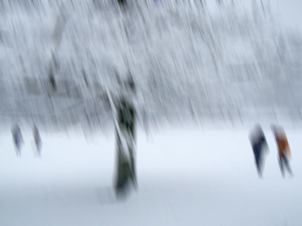Snow Storm In Preston Park Abstract Taken one Sunday April… Flickr