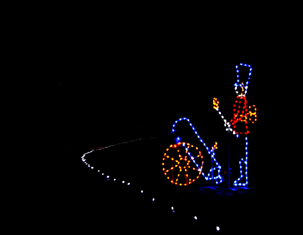 _MG_2034 Bull Run Park Annual Winter Light Show David Flickr
