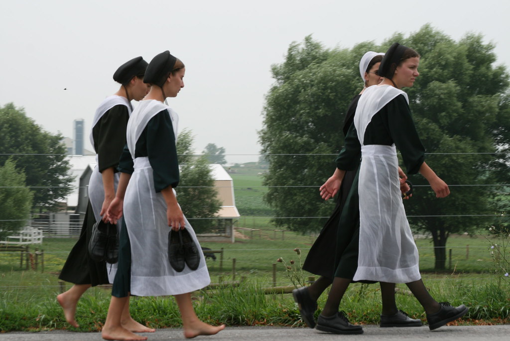 Amish Drive by, Lancaster County, PA Ted Knudsen Flickr