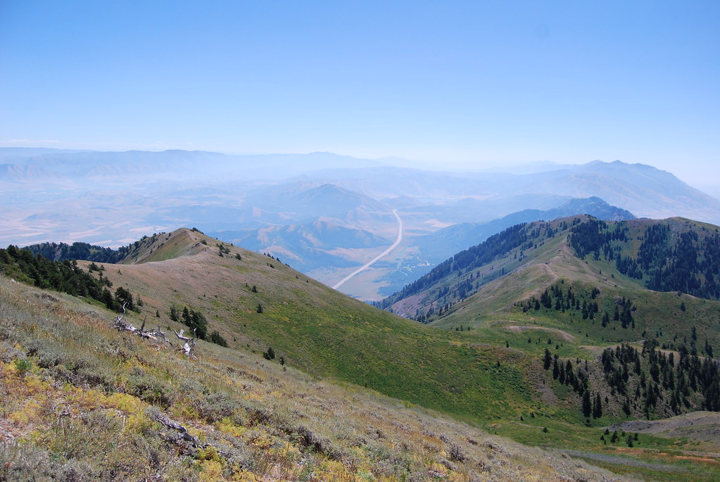Sardine Canyon Lookin down into Sardine Canyon from the tr… Flickr