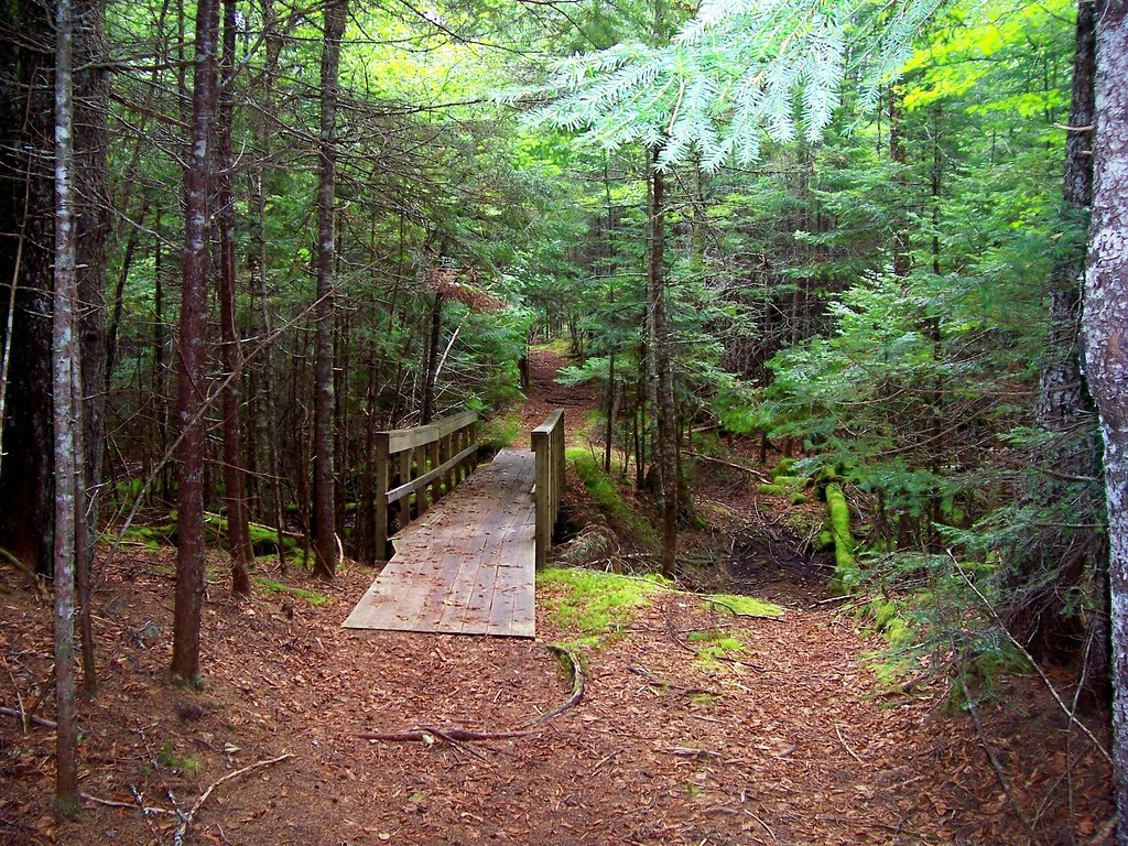 Herring Cove Campobello Island at Emile Baker blog