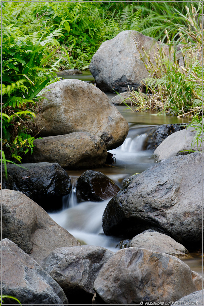 La Rivière Blanche à Coeur Bouliki en Martinique / The Whi… Flickr