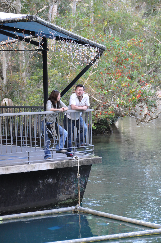 Elevation of Douglas St, Homosassa, FL, USA Topographic Map