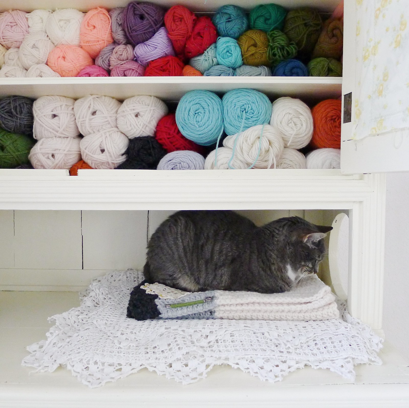 Cupboard Art Term at Florence Lumsden blog