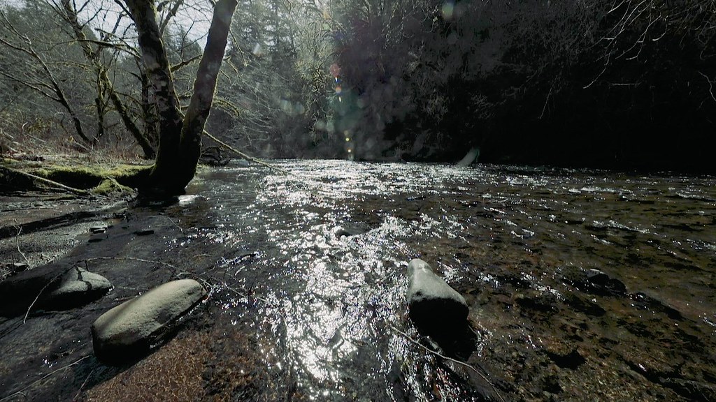 Alder Glen Recreation Site, Nestucca Wild and Scenic River a photo on