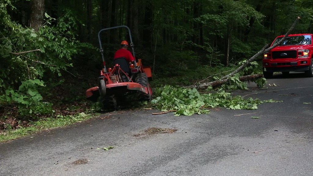 Storm Damage June 2019 (1) Land Between the Lakes KY/TN Flickr