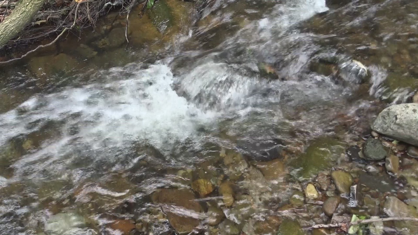 Woodlands of Bedford Hemlock Creek Walk 82419 Flickr