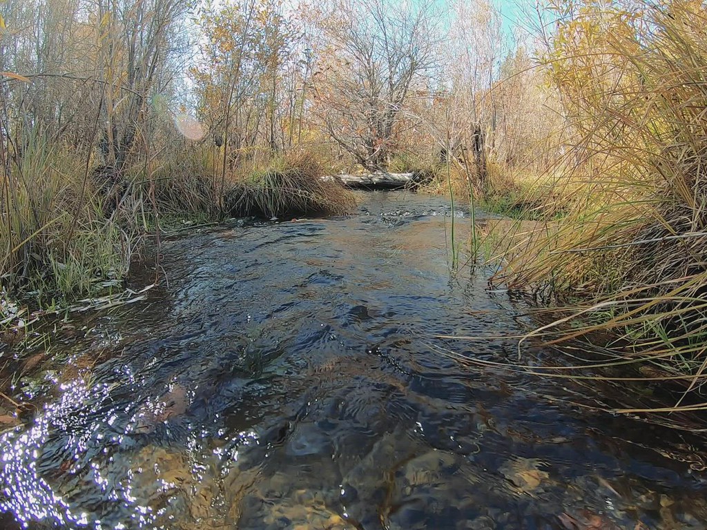 Jenny Creek Wild & Scenic River Jenny Creek Wild and Sceni… Flickr