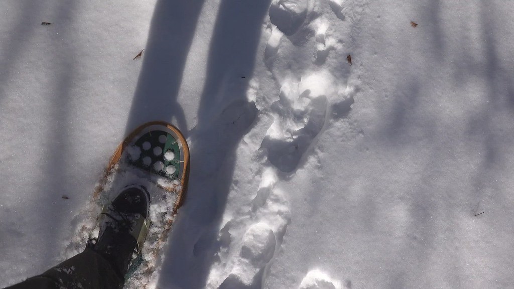 Snowshoes on Campus York University, Keele Campus, Toronto… Flickr