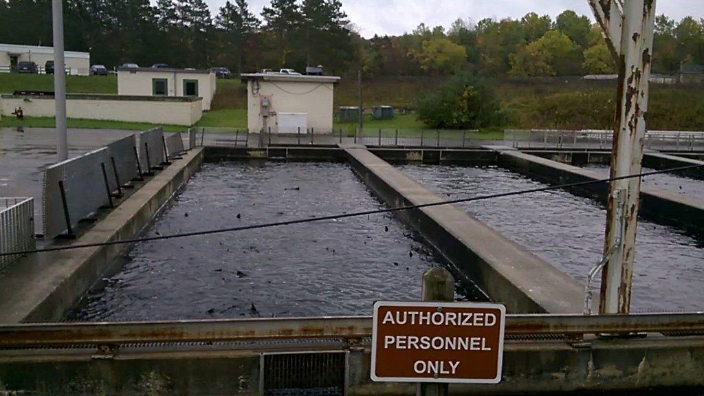 Fish hatchery at Platte River collecting roe and milt Flickr