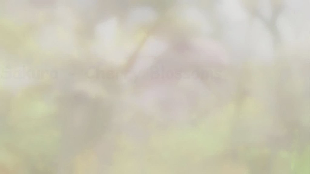 Sakura Cherry Blossom Postcard, Guelph Arboretum Canada Flickr