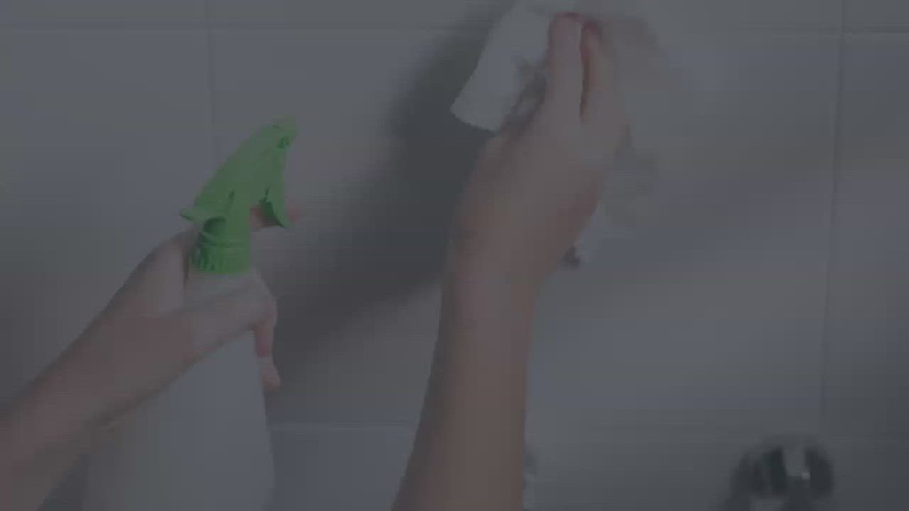 Strategies and Tips for Professional Green Cleaners Flickr