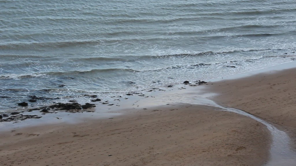 MVI_4141 Hannah Plant Flickr