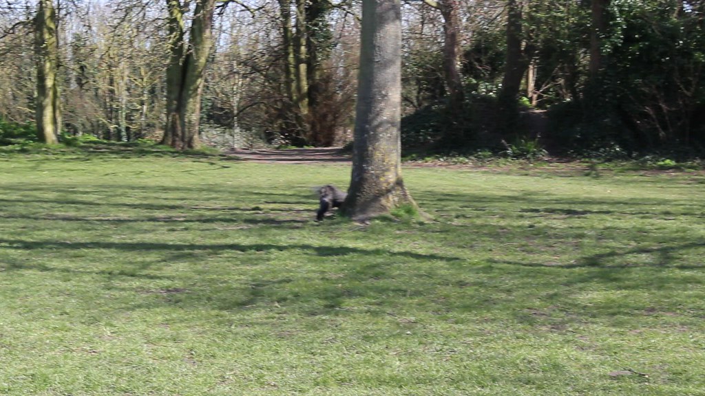 MVI_4103 Hannah Plant Flickr