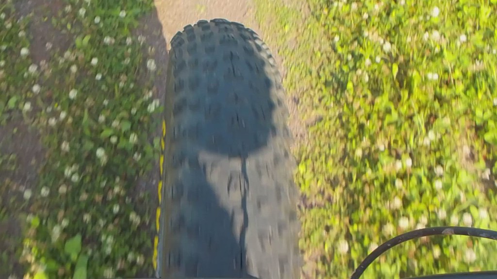 Bike ride beside wetlands near Vernon River, PEI July 6, 2… Larry