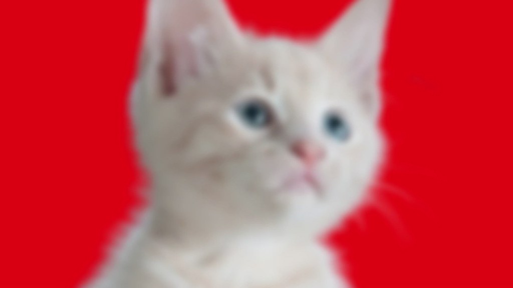 catfood online store cat food online store USA's best onl… Flickr