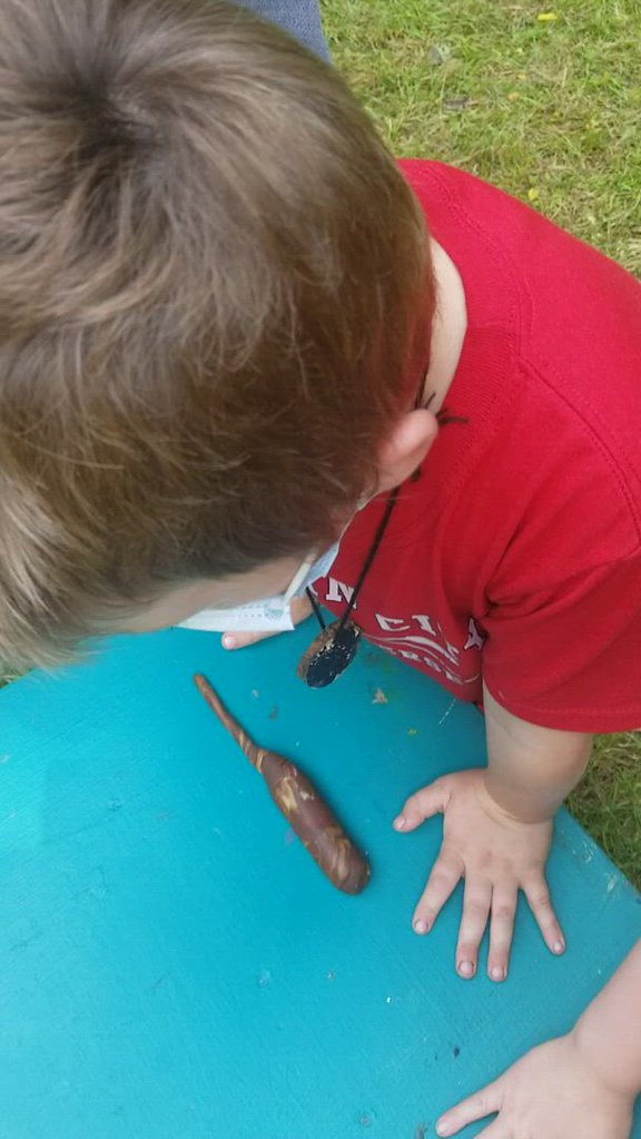 Creepers and Crawlers Audubon Vermont