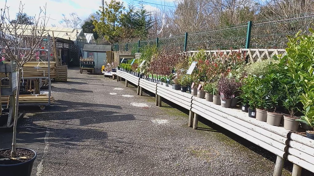 Wimborne Garden Centre Formerly Wyevale Garden Centre unti… Flickr