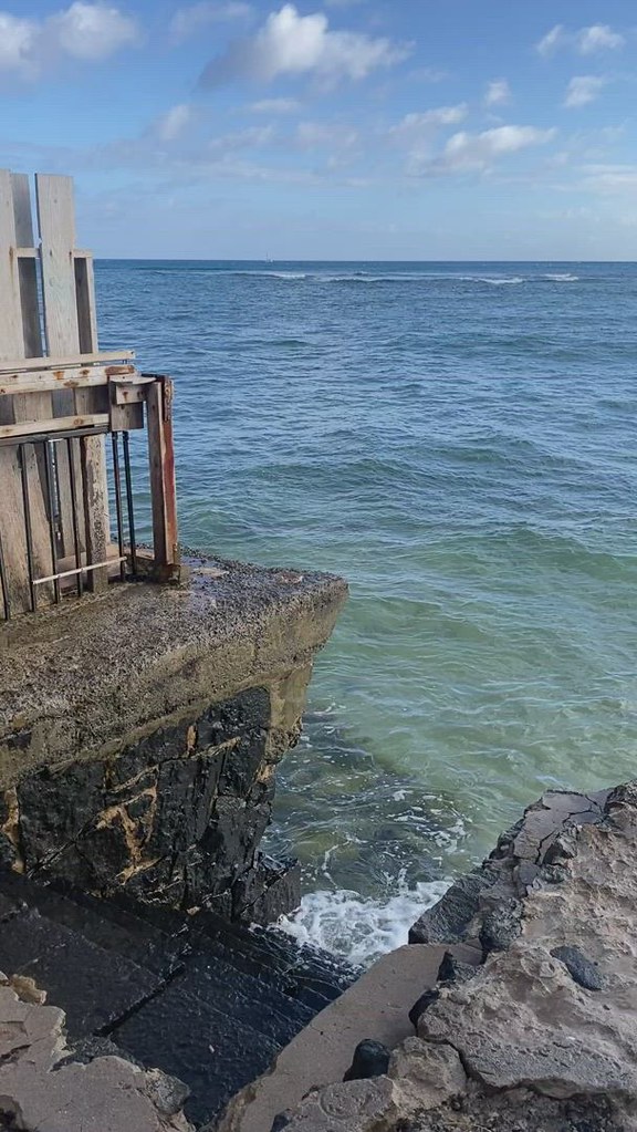 Tonggs Beach jericl cat Flickr