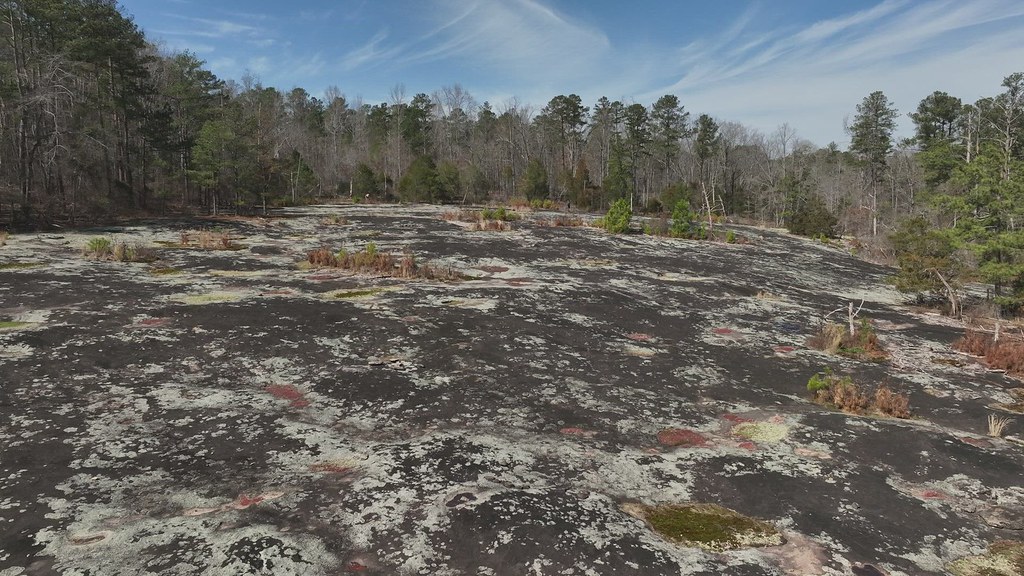 Lithonia Gneiss Flat Rock, Arabia Mountain National Herita… Flickr